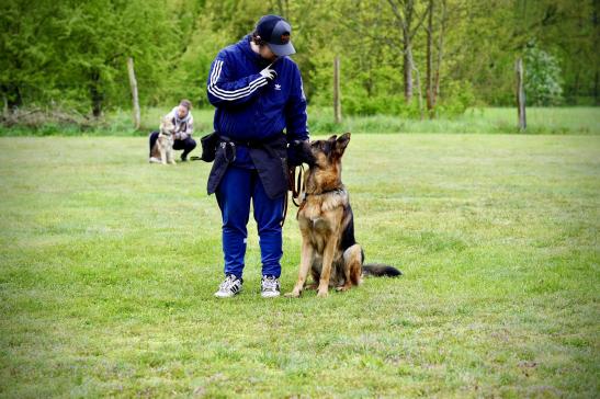 … hier wird nicht diskutiert. © SV Ortsgruppe Pankow