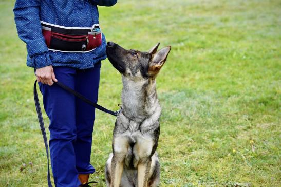 … schau mir in die Augen © SV OG Pankow