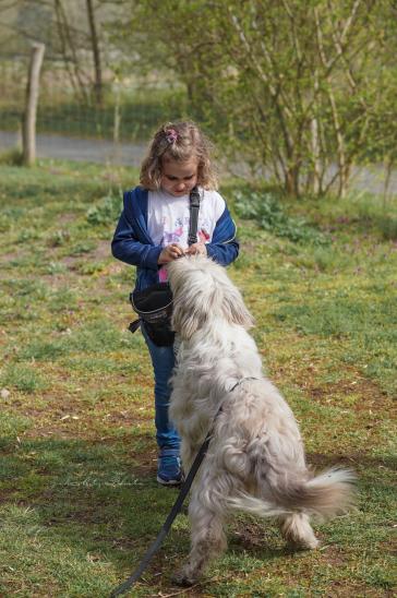 … Kind mit Hund – ein gutes Team. © SV OG Pankow