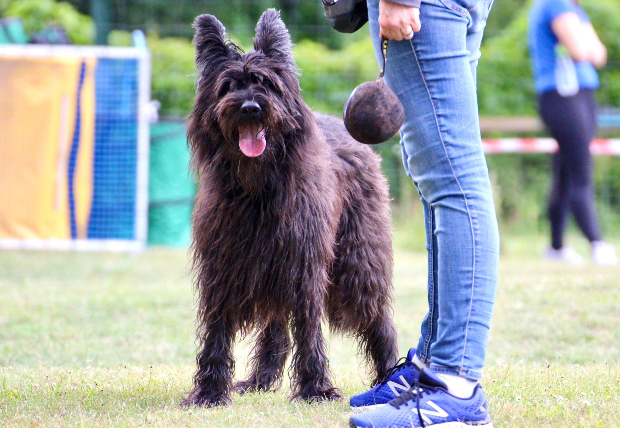 … mit Spass im Hundetraining. © SV OG Pankow