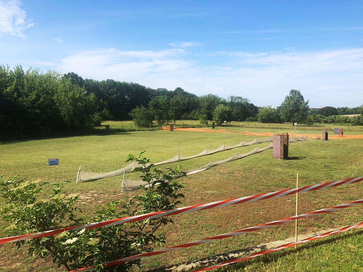 Hindernispacours, Mini-Fährte, Hunderennbahn und Mini-Begleithundprüfung – alles auf einem Platz