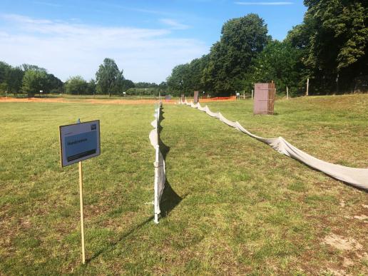 Hunderennbahn (48m) zum Tag des Hundes