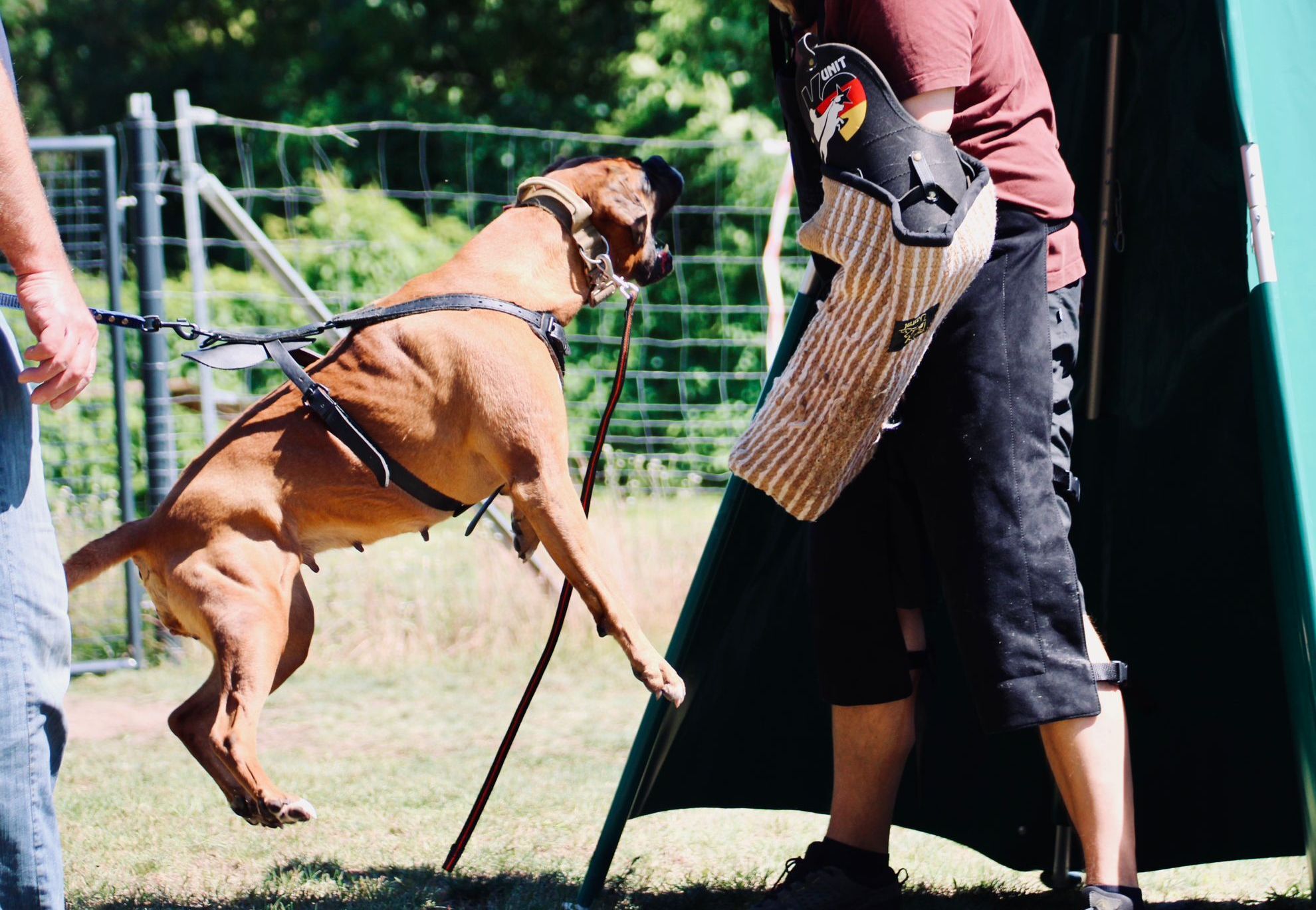 Hundeplatz Pankow © Verein für Deutsche Schäferhunde (SV) e.V. Ortsgruppe Pankow, Landesgruppe Berlin-Brandenburg