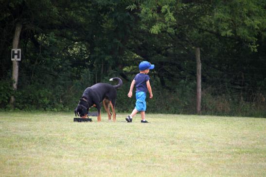 Hund und Hundeführer sind sich nicht immer einig
