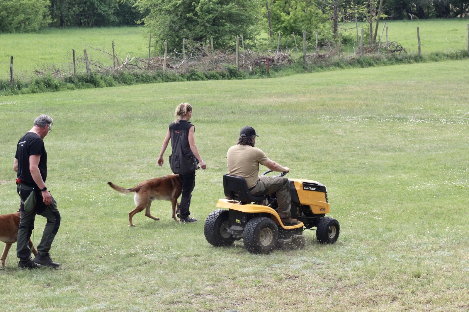 … Hundetraining unter Ablenkung. © SV OG Pankow