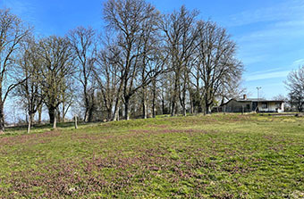 … ein Hauch von Frühling auf dem Hundeplatz. © SV OG Pankow