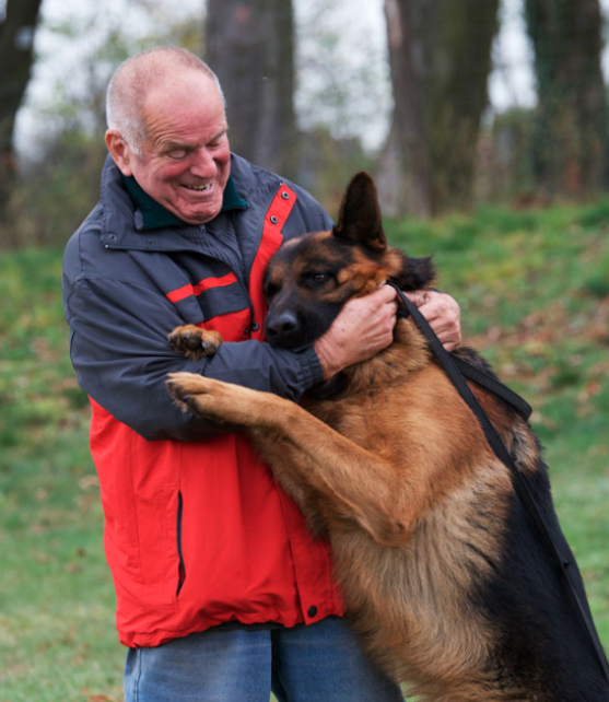 Hundeausbildung mit Tradition