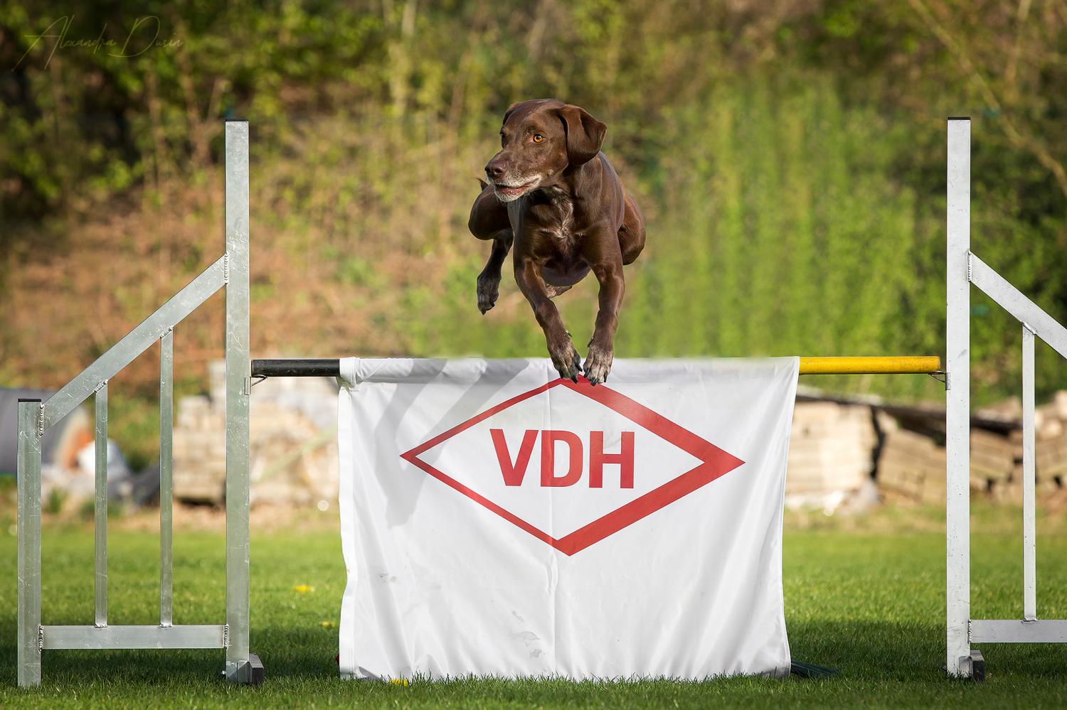 Spiel und Spaß im Hindernisparcour 