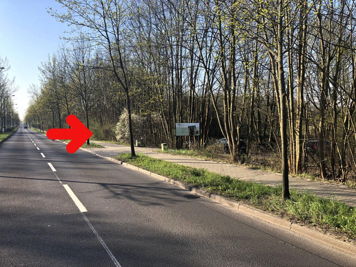 Zufahrt zum Hundeplatz von der B96a aus Richtung Schildow/Blankenfelde